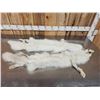 Image 5 : 2 Arctic Cross Ranch Fox Soft Tanned Furs