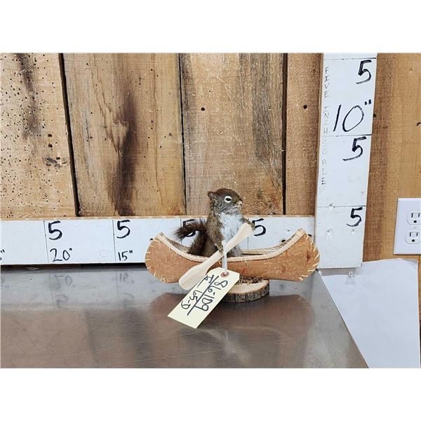Squirrel In A Birch Bark Canoe Taxidermy Mount