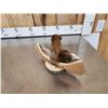 Image 4 : Squirrel In A Birch Bark Canoe Taxidermy Mount