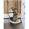 Image 10 : 3 Cute Critters Taxidermy Lot