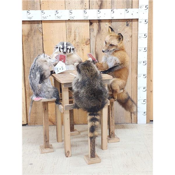 4 Critters Playing Poker Taxidermy Mount