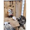 Image 4 : 4 Critters Playing Poker Taxidermy Mount