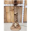 Image 3 : Sassafras Wood Rustic Floor Lamp