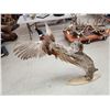 Image 7 : Bobcat Leaping For A Pheasant Full Body Taxidermy Mount