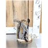 Image 2 : Squirrel Playing Guitar Taxidermy Mount