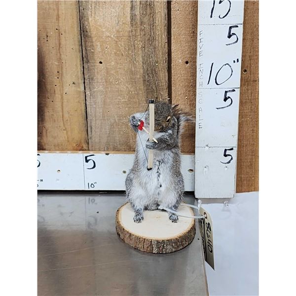 Bow Hunting Squirrel Taxidermy Mount