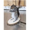 Image 3 : Bow Hunting Squirrel Taxidermy Mount