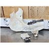 Image 3 : Subhyracodon " Running Rhino " Skull & Jaw Bone section Fossilized Fossil