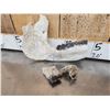 Image 4 : Subhyracodon " Running Rhino " Skull & Jaw Bone section Fossilized Fossil