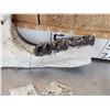 Image 5 : Subhyracodon " Running Rhino " Skull & Jaw Bone section Fossilized Fossil