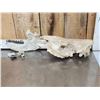 Image 9 : Subhyracodon " Running Rhino " Skull & Jaw Bone section Fossilized Fossil