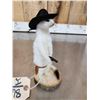 Image 4 : Sheriff Weasel Full Body Taxidermy Mount