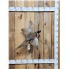 Image 1 : Ringneck Pheasant In Flight Bird Taxidermy