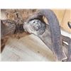Image 12 : MONSTER Red Stag Shoulder Mount Taxidermy