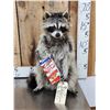 Image 1 : Raccoon Eating Cracker Jacks Taxidermy Mount