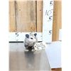 Image 1 : Baby Opossum Full Body Taxidermy Mount