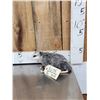 Image 2 : Baby Opossum Full Body Taxidermy Mount