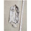Image 3 : 2 Ranch Fox Soft Tanned Furs Taxidermy