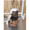 Image 4 : The Dreaded Swamp Monster Taxidermy Mount