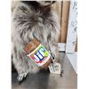 Image 3 : Raccoon Eating Peanut Butter Taxidermy