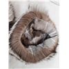 Image 7 : Silver Fox Fur Hat Collar & Mittens