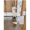 Image 2 : White Weasel Full Body Taxidermy Mount