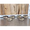 Image 1 : 6 Taxidermy Alligator Heads