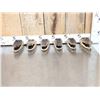 Image 4 : 6 Taxidermy Alligator Heads