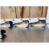 Image 2 : 6 Taxidermy Alligator Heads