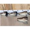 Image 3 : 6 Taxidermy Alligator Heads