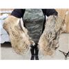 Image 1 : Coyote Fur Mittens