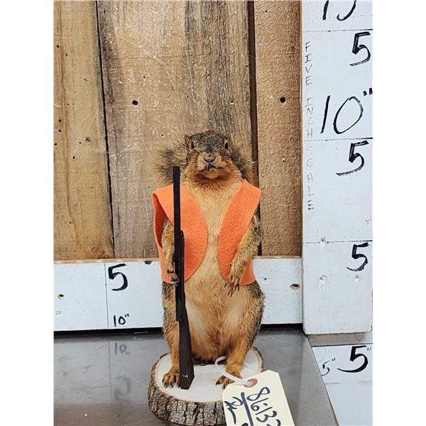 Hunting Squirrel Taxidermy Mount
