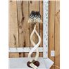 Image 1 : African Kudu Horn Core Desk Lamp