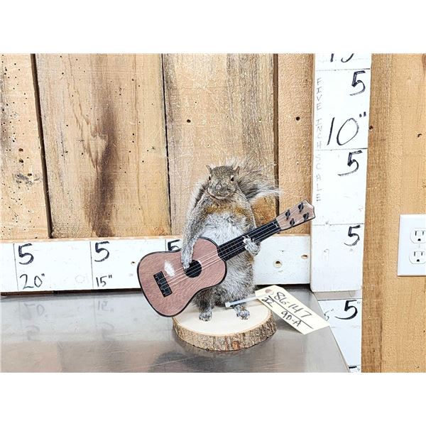 Guitar Playing Squirrel Taxidermy Mount