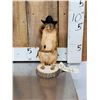 Image 1 : Sheriff Squirrel Taxidermy Mount