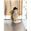 Image 2 : Sheriff Squirrel Taxidermy Mount