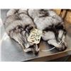Image 4 : 2 Blue Ranch Fox Soft Tanned Furs Taxidermy