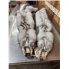 Image 6 : 2 Blue Ranch Fox Soft Tanned Furs Taxidermy