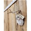 Image 4 : Jackalope Shoulder Mount Taxidermy