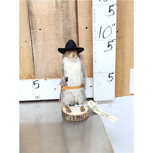 Sheriff Squirrel Taxidermy Mount