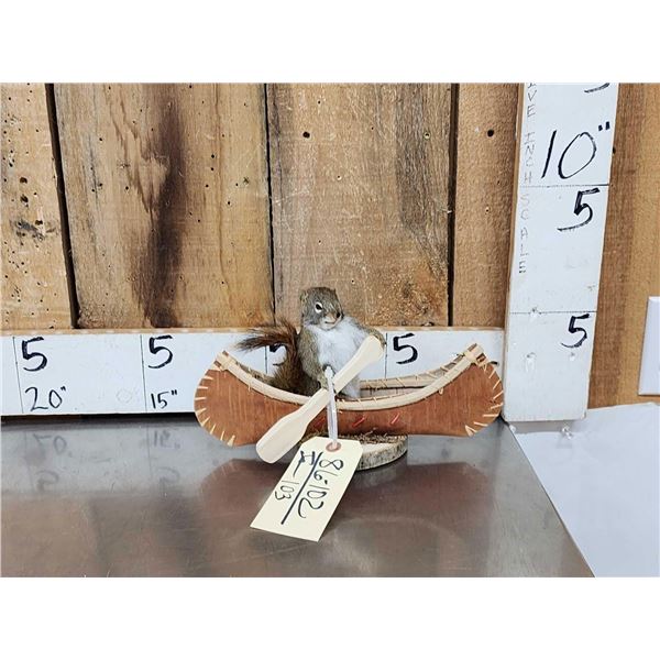 Squirrel In A Birch Bark Canoe Taxidermy