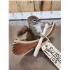 Image 3 : Squirrel In A Birch Bark Canoe Taxidermy