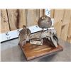 Image 8 : Pair Of Hungarian Partridge Bird Taxidermy