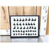 Image 1 : 44 Black Bear Claws Taxidermy