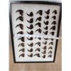 Image 2 : 44 Black Bear Claws Taxidermy