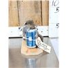 Image 2 : Drunken Squirrel Taxidermy Mount