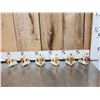 Image 1 : 6 Beaver Skulls Taxidermy