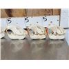 Image 3 : 6 Beaver Skulls Taxidermy