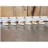 Image 5 : 6 Beaver Skulls Taxidermy
