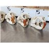 Image 8 : 6 Beaver Skulls Taxidermy